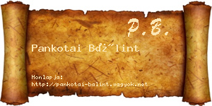 Pankotai Bálint névjegykártya